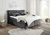 MöbisandMore Designer Boxspringbett Boxspringbett 180x200 cm | Sophia - Grau | Wasserabweisend| Härtegrad bis 130 KG | 7-Zonen-Tonnentaschenfederkern