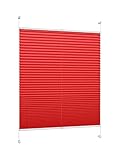 DecoProfi PLISSEE rot, verspannt, Breite 110cm x 130cm (max. Gesamthöhe Fensterflügel), mit Klemmträger/Klemmfix/ohne Bohren