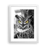 ARTTOR Gerahmtes Poster - Weißer Rahmen - Eule Vogel Natur - 30x40 cm - Wand Bild - Wanddeko - Wandbilder - Kunstposter - Wandposter - Bilderrahmen - Bilder - Kunstdruck - Wandbild - P2WPA30x40-1318
