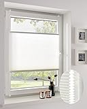 Fenster Plissee ohne Bohren I Wabenplissee mit Plisseehalter zum Klemmen I Sonnenschutz Klemmplissee lichtdurchlässig I 70x220 cm, Weiss