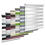 TEKONA Doppelrollo Klemmfix ohne Bohren Duo-Rollo Rollo Blickdicht lichtdurchlässig Fensterrollos Seitenzugrollo Sonnenschutz Fenster und Tür - Weiß, 65 x 150 cm (B x L) - Stoffbreite 61cm