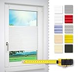 Lysel Home Plissee NACH MAß Qualität Made in Germany ohne Bohren zum Klemmen Fenster Rollo Jalousie Sichtschutz Sonnenschutz
