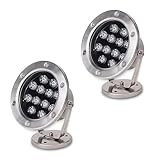 2PCS LED-Strahler - LED Bodenstrahler Außen, 12/24 V Verstellbarer Abstrahlwinkel, Wasserspielleuchte, IP68 Wasserdichter Gartenstrahler Aus Rostfreiem Material, Für Garten, Innenhof (Color : White L