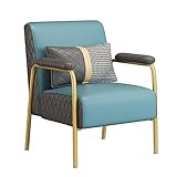 SFXYOYBT Leder Sessel Wohnzimmer，Moderne Sofastühle Aus Der Mitte des Jahrhunderts, Ledersessel Mit Metallrahmen Und Lendenkissen, Sessel Für Wohnzimmer, Schlafzimmer, Heimbüro(Color:Hellblau)