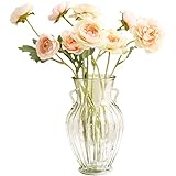 Europäische Glas vase Transparent Weiß Blumen hydrokultur Reiche Bambus Lilie Grün Pflanze Wohnzimmer Tischplatte Blumenarrangement Dekoration