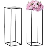 Nuptio Schwarzer Vasen Pflanzenständer 2 Stück 80cm Hohe Blumenvasen für Hochzeit Geburtstagsparty Mittelstücke – Metallsäulen Präsentations Tischständer für Inneneck Blumenständer