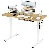 FLEXISPOT Basic Plus Elektrisch Höhenverstellbarer Schreibtisch - Schnelle Montage, Memory-Handsteuerung - Sitz-Stehpult für Büro & Home-Office (120x60cm, ahorn, weiß Gestell)