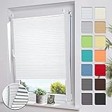 BelleMax Plissee ohne Bohren verdunkelung, Thermo Plisseerollo Klemmfix, 60x220cm Weiß, Verdunklungsplissee 100% lichtundurchlässig für Fenster & Tür, Faltrollo Blickdicht Sichtschutz Sonnenschutz