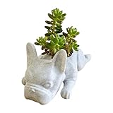 Übertopf 25 cm Durchmesser Sukkulenten-Pflanzgefäß aus Kunstharz für Hunde, Mini-Welpen, Pflanzgefäß, französische Bulldoggen, niedliche Bonsai-Blumentöpfe, für Zuhause, Pflanze (White, One Size)