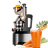 Professionelle, langsam kauende Entsafter-Maschine, Kaltpress-Entsafter-Extraktor, vertikaler Entsafter aus Edelstahl für nährstoffreiches frisches Gemüse und Obst