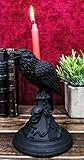 Ebros Gift Gothic Edgar Poe Nevermore Quoth The Raven Crow Perching On Black Rose and Skull Tombstone Spell Taper Candle Holder Deko Figur Gothic Macabre Wicca Alternative Arts