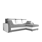 Mirjan24 Ecksofa Kristofer Lux, Eckcouch Couch! mit Schlaffunktion, Zwei Bettkasten, Farbauswahl, Wohnlandschaft! Bettfunktion! Design L-Form Sofa! Seite Universal! (Florida 01 + Rain 01.)