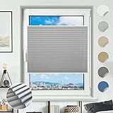 Plissee ohne Bohren verdunkelung Klemmfix 55x130cm(BxH) Hellgrau Verdunklungsplissee Sichtschutz und Sonnenschutz Jalousie 100% Blickdicht & lichtundurchlässig Aluminium Rollos für Fenster & Tür