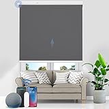 Grandekor Elektrische Rollos mit Lithiumbatterie,Elektrisches Verdunklungsrollo mit Motor & Fernbedingung, Dunkelgrau 70x130cm(BXH) Rollo ohne Bohren Fensterrollo Innen Smart mit Alexa Kompatibel