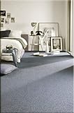 rugsx Einfarbiger Teppich Eton für Zimmer, Wohnzimmer, Schlafzimmer, Teppichboden Auslegware, Silber grau, Verschiedene Größen, 300x400 cm