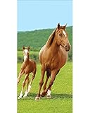 BrandMac Badetuch Pferd und Fohlen, 70 x 140 cm, Strandtuch aus Baumwolle, Badetuch