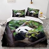 CHAADS Bettwäsche Kinder 135x200 Microfaser Wunderschön Schwarzer Und Weißer Panda 3D Bettwäsche Set 3Teilig Süßer Tier Mädchen Tiere Bettbezug und Kissenbezug 80×80cm