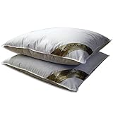 Meivita 2X Kopfkissen mit 70% Federn und 30% Daunen - Neue Gänsefedern und -daunen Klasse 1 – Federkissen-Set mit edler Biese in 80x80 cm Made in Germany
