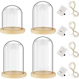4 Stück transparente Glaskuppel-Glocke mit Holzsockel und LED-Lichterkette, batteriebetrieben, Glasglocke mit Sockel, Tischglocke, Glas, Vitrine für Zuhause, Büro, Hochzeit, Tafelaufsatz, Rosenblume