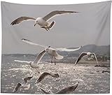 Sxakswol Wandteppich Groß Möwe Wandteppich 200x150 Wandbehang Vogel, Tapisserie 3D Wandtuch Aesthetic Wandteppiche für Wohnzimmer Schlafzimmer Wohnheim Wanddeko