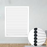 Wabenplissee, Waben-plissee Verdunklungsplissee,Plisseerollo Für Fenster,Doppelplissee Thermisch 55cm 60cm 65cm 70cm 75cm 80cm 85cm 90cm 95cm Wabenplissee Faltrollo,Weiß,W×H-90x150cm/35.4 * 59in