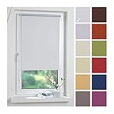 Liedeco® Rollo Klemmfix Thermobeschichtet - 80 x 150 cm weiß (Breite x Höhe) / lichtundurchlässig Blickdicht verdunkelnd und stufenlos verstellbar / leichte Innen-Montage ohne Bohren mit Klemmträger