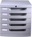 Aktenschrank mit 5 Schubladen und Schloss, Kunststoff, Aktenschrank, Organizer, 30 x 38 x 31,5 cm, Grau