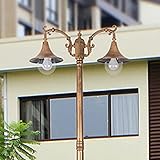 260 cm 102,36 Zoll Außengarten-Säulenpfostenleuchte Aluminium-Wegsäulenlampe Wasserdichte IP65-Straßenlaterne 2-Kopf-Poller-Wegelampe Netzbetriebene Säulenpfostenleuchte Säulenlampe