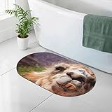 Lustige Alpaka Lama Kieselgur Badematte 50 x 80 cm Super saugfähig schnell trocknend rutschfeste Duschmatte Badezimmer Bodenmatte für Dusche Badezimmer Badewanne