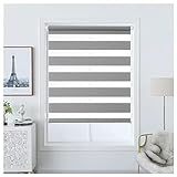 PHLEPS Doppelrollo Tag Und Nacht Rollo Vorhang,Premium-Tag- Und Nacht-Zebra-Fensterrollo, 48 Breitengrößen (Color : Grey, Size : 140x185cm)