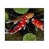 PHOLK Wohnkultur Leinwand-Bild chinesischer Koi-Fisch Lotus Leinwanddrucke Feng Shui Tierlandschaft Bild moderne Wand Bilder für Wohnzimmer Heimdekoration 40x60cm x1 Rahmenlos