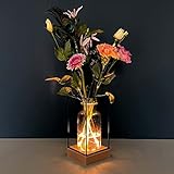 Gadgy® Beleuchte Vase Glas - LED Blumenvase für Wohnzimmer Deko Modern - Glasvase Skandinavische Deko - Blumenvase Modern - Deko Pflanzen Vase für Blumen - 22,5x10,8x10,8cm