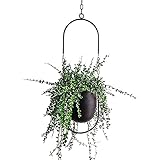 Beihaoer Hängende Dekoration Topf Metall Boho Hängekorb Decke Hängende Pflanzer für Zimmerpflanzen Sukkulenten Luftpflanzen Kaktus (Schwarz)
