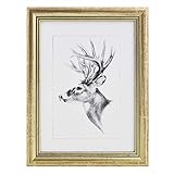 WOLTU Bilderrahmen Fotogalerie, Holz Rahmen, Glasscheibe, Artos Stil (Gold, 21x29,7cm A4), BRU9894gd