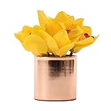 NYKK Künstliche Blume Postmodern Licht Esstisch Goldene Simulation Floral Sets, Chinesisch-Art-Haus Metall Vase Künstliche Blumen-Verzierung, Mini Künstliche Kleiner Topf künstliche Anlage Ewige Blum