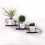 Troupmiye Blumenständer Wandbehang perforiert Pot Rack Vintage Eisen Wanddekoration Pflanze Bonsai Indoor Outdoor Shelf Shelves Kombination (Size : B)