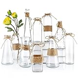 MDLUU 10 Stück Glasvasen mit Seil, Vintage-Blumenvasen für Esstischdekoration, Hochzeitsdekoration, Wohnzimmer