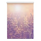 Lichtblick Klemmfix Tageslicht-Rollo mit Motiv, ohne Bohren, Blickdicht, Seitenzugrollo, Made in Germany, Sommerabend - Orange 45 x 150 cm (B x L)