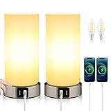 2 Stück Nachttischlampe, Tischlampe Touch Dimmbar, E14 Moderne Tischleuchte, 2 Usb-AnschlüSse, 3 Helligkeitsstufen, für Schlafzimmer, Wohnzimmer, Kinderzimmer(EnthäLt Leuchtmittel/Warmes Weiß)