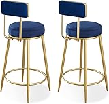 Barhocker 2er Set Samtgepolsterter Sitz mit Rückenlehne, Schwarze Metallbeine Küche Frühstücksbarhocker Thekenstuhl Sitzhöhe 65cm