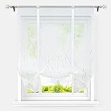 Heichkell Raffrollo Transparent Streifen Druck Bindegardine mit Tunnelzug Raffgardine Modern für Küche Kurz Fenstervorhang Gold BxH 140x140cm