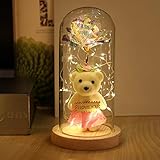 NAWEIDA Galaxie-Rosen-Geschenk, Infinity-Rose in Glaskuppel, Bunte künstliche Blumen-Rosen-Geschenk, LED-Lichterkette auf Galaxie-Rose, einzigartiges Geschenk für Sie