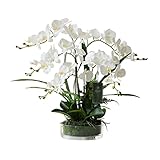 Künstliche gefälschte Blumen Künstliche Seide Motte Orchidee Blumen in transparenter Glasvase, echte Note Natürlich Suchen Phalaenopsis Blumen und Grün, Herzstück Dekor (weiß, groß) Blumensträuße Deko