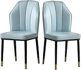 HAVMAK Moderne Küche Esszimmer Stühle Set Esszimmerstühle 2er Set Wasserdichter PU-Leder Küchenstuhl mit Metallbeinen, Moderne hohe Rückenlehne, weicher Sitz, Wohnzimmerstühle (Farbe: Hellblau)