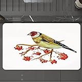 Badematte rutschfest waschbar Badvorleger,Eberesche, Aquarell-Malerei-Stil, süßer Wildvogel auf Ast mit Beeren-Grafik, Erdgelb,,weich Mikrofaser saugstark Badteppich für Badezimmer Badewanne, 40x60 cm