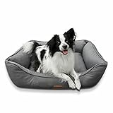 your GEAR Belluno 60x80 cm orthopädisches Hundebett, Hundekorb, Oeko-TEX, waschbar, geruchsfrei & hygienisch