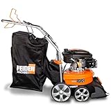 Feider B07ZDFKLVK - FAST175T -1 - Vakuumreiniger Wärmeleitbärmer auf 173 CC -Rädern - Selbsttank