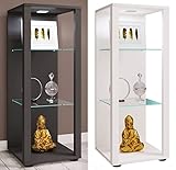 VCM Holz Glas Vitrine Sammelvitrine Glasvitrine Schaukasten Standvitrine Glasol M Anthrazit