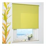 ourdeco® Rollo, Seitenzugrollo | Farbe blattgrün/Tageslicht, lichtdurchlässig | Bestellgröße 242 x 180 cm (BxH)