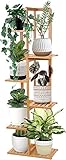 H HOMEXIN Blumenständer, Pflanzenständer aus Bambus, Pflanzenregal, Bücherregal, 6-Stöckiges multifunktionales Blumenregal, Stabiler Rahmen, einfache Montage für Außen und Innen
